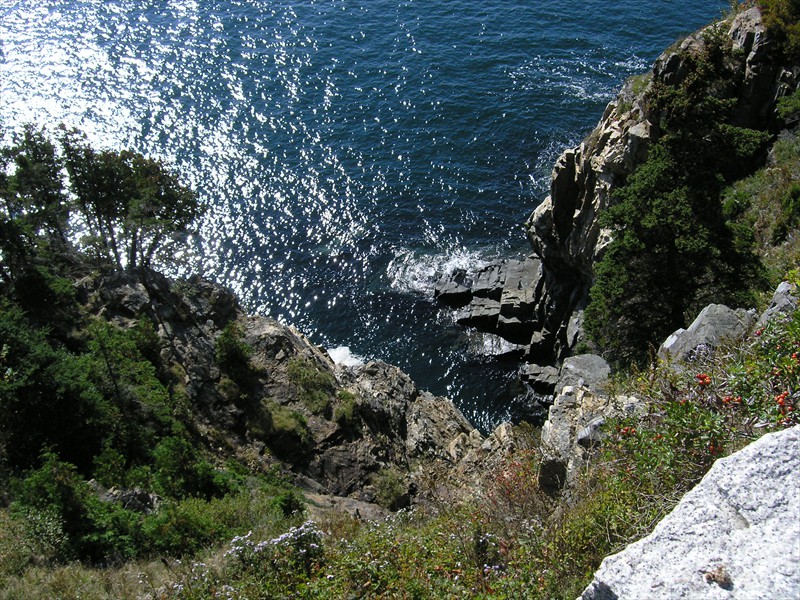 P9279455