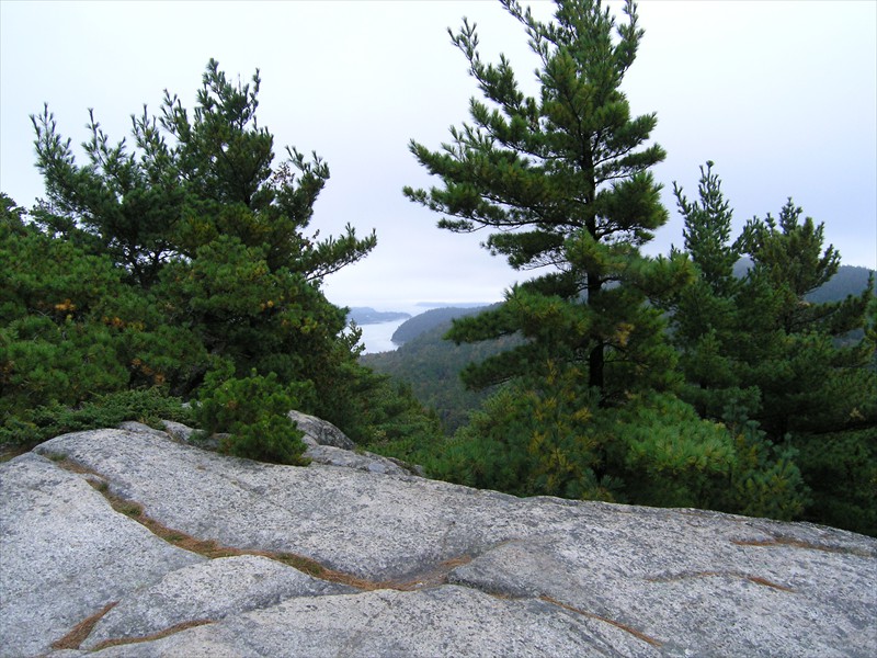 P9289468